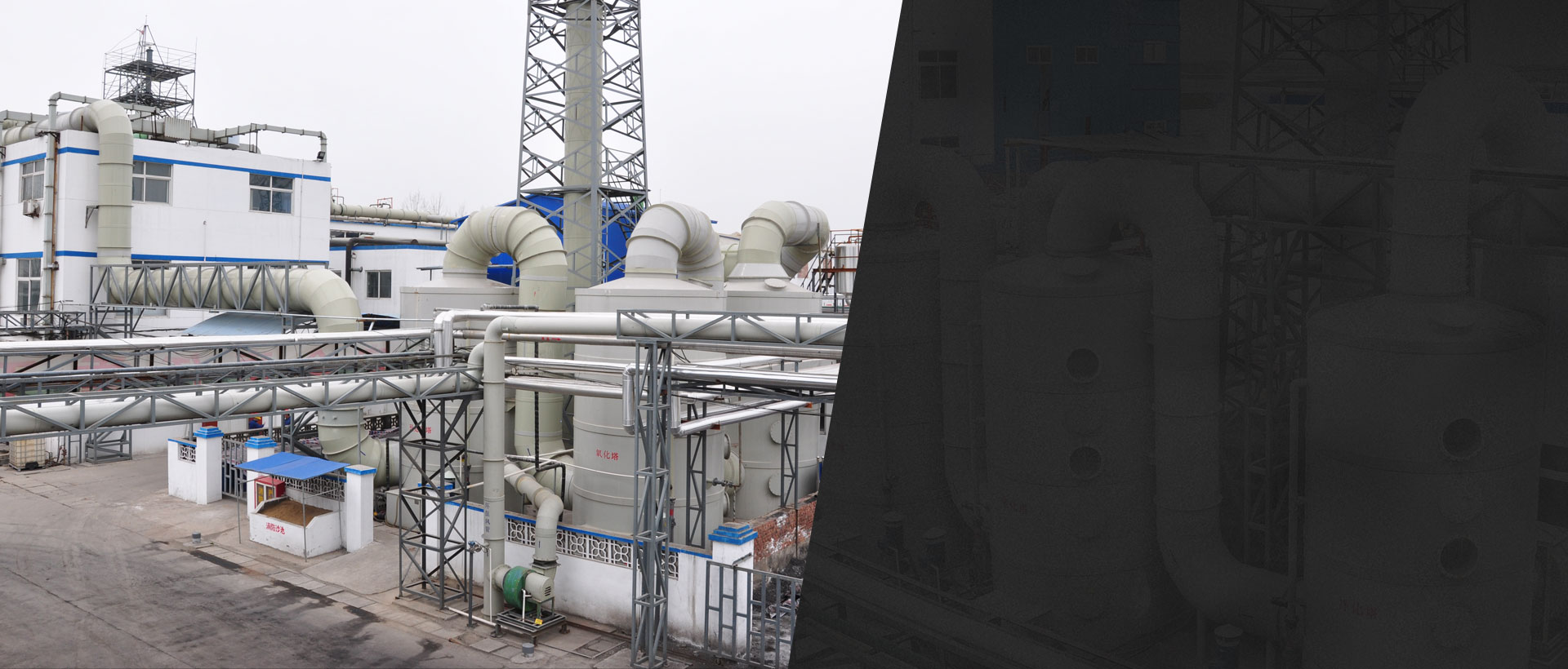 二十大报告解读：生态环保工作有多重要？