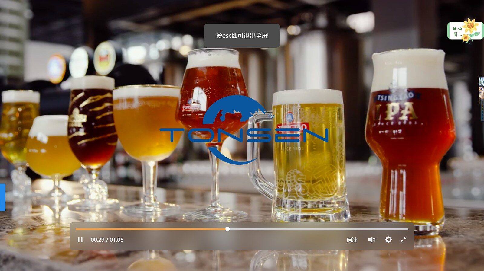 home brewing cost