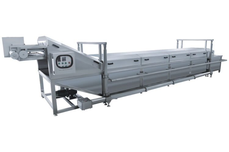 提升式漂烫护色机