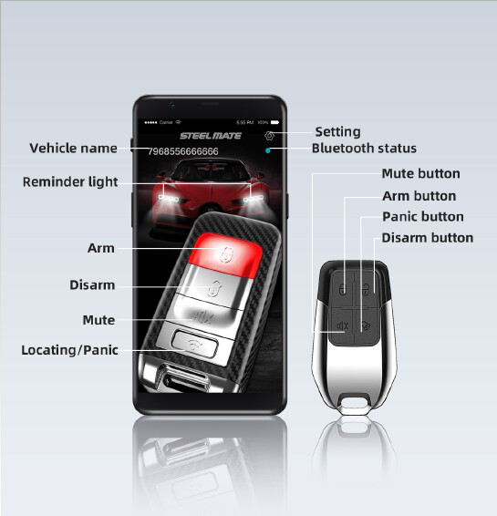 car alarm 2