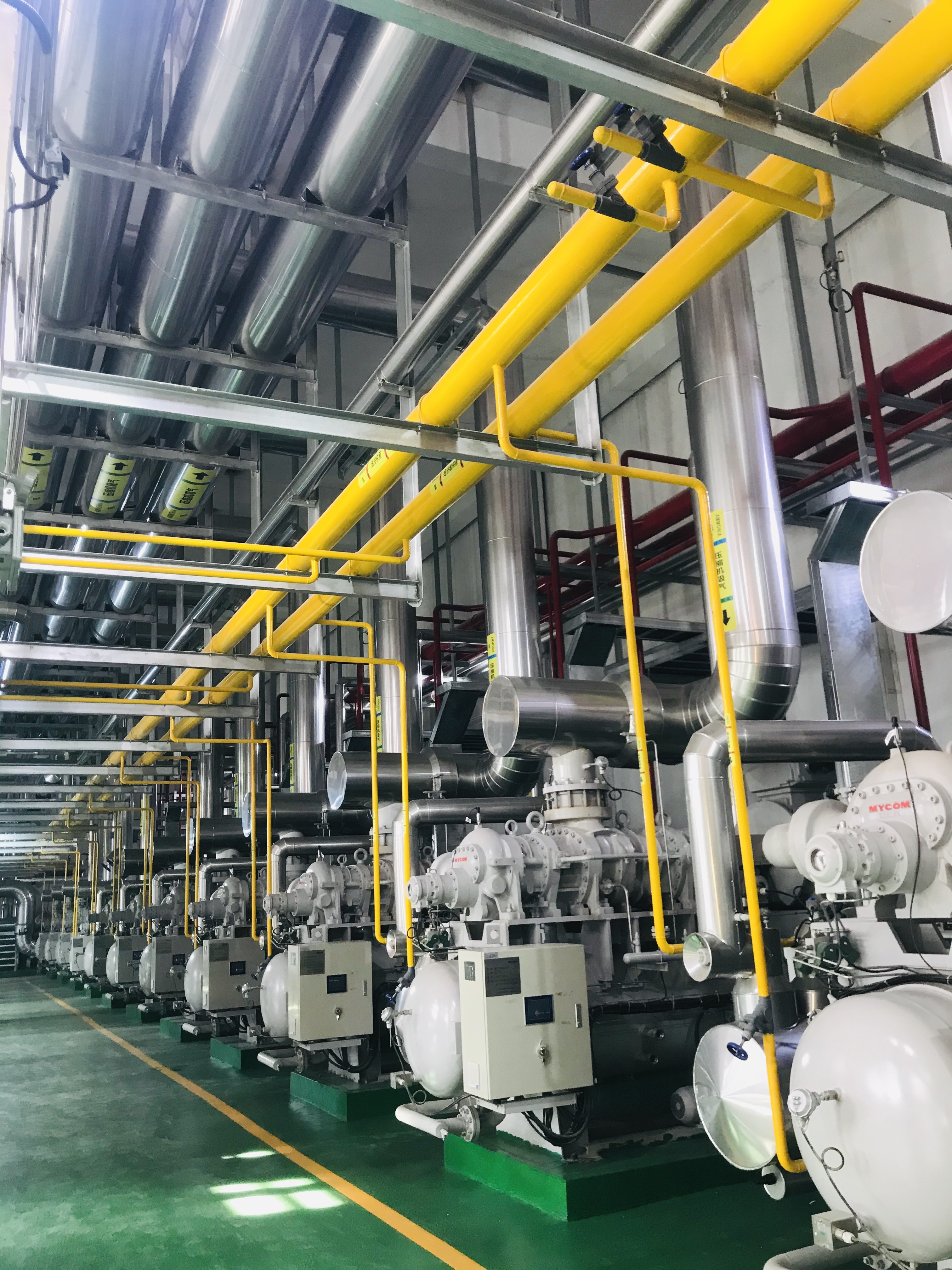 山东民胜食品有限公司项目