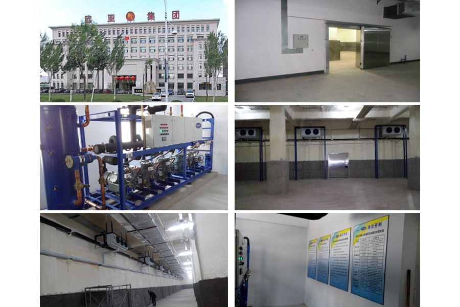 物流园建设项目