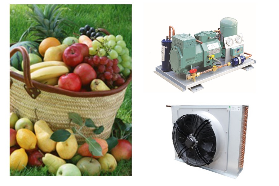 佳世博食品东车间空调系统项目