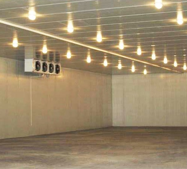 百丈冰物流冷庫(kù)功能由傳統(tǒng)冷庫(kù)的“低溫倉(cāng)儲(chǔ)