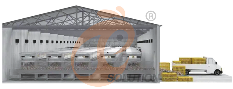 Nigeria poultry farm battery cage (2)