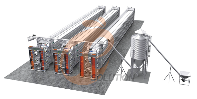 Nigeria poultry farm battery cage (3)