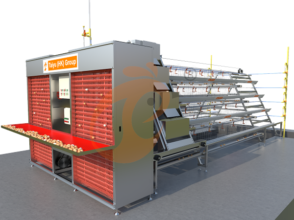 A type automatic layer battery cage (1)