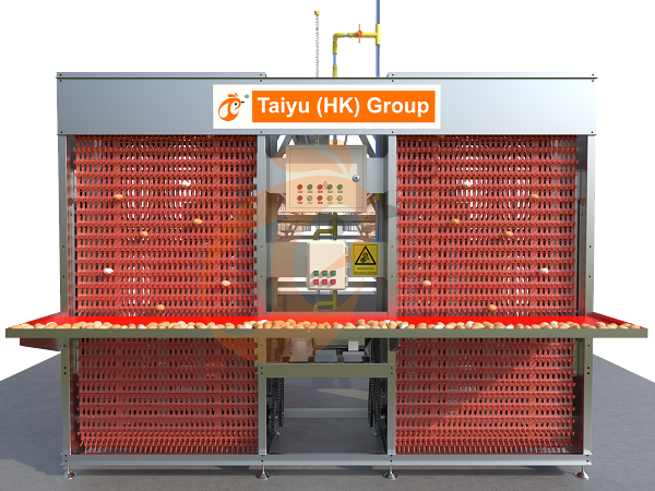 A type automatic layer battery cage (3)