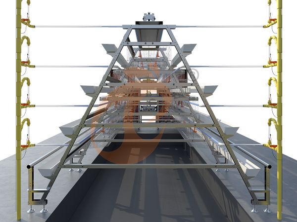 A type automatic layer battery cage (4)