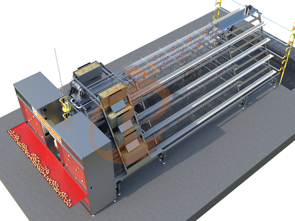 A type automatic layer battery cage (5)