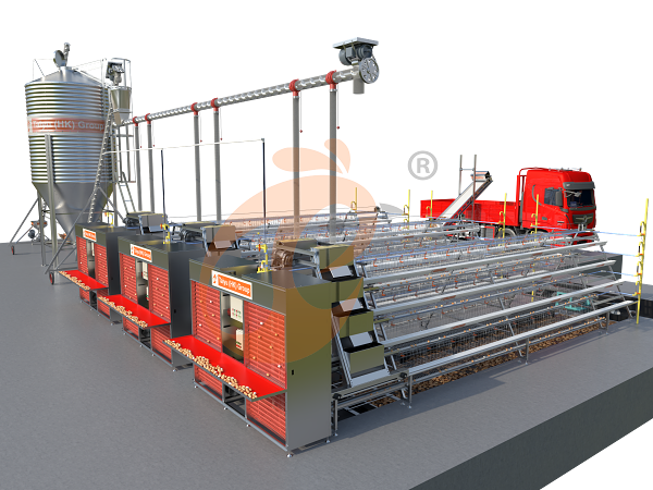 A type battery cage layout (2)