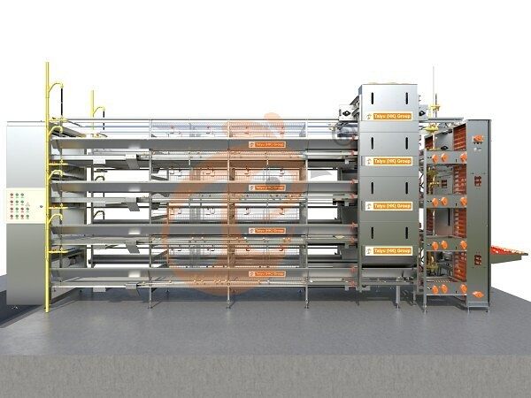 battery cage for layers (46)