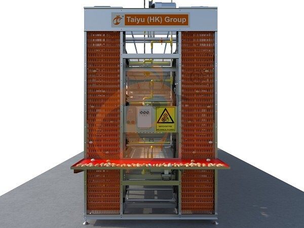 battery cage for layers (47)