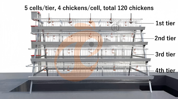 battery cage poultry farm
