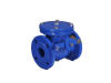 MSS SP-71 Class 125 Cast Iron Swing Check Valve With Weight