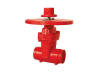 200PSI-NRS Type Grooved End Gate Valve