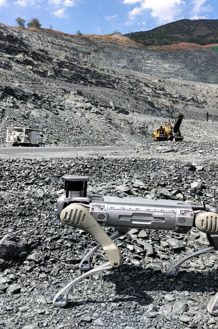 c749cad89f7a4a449ea4118c0a1d609c_702x1060[1]