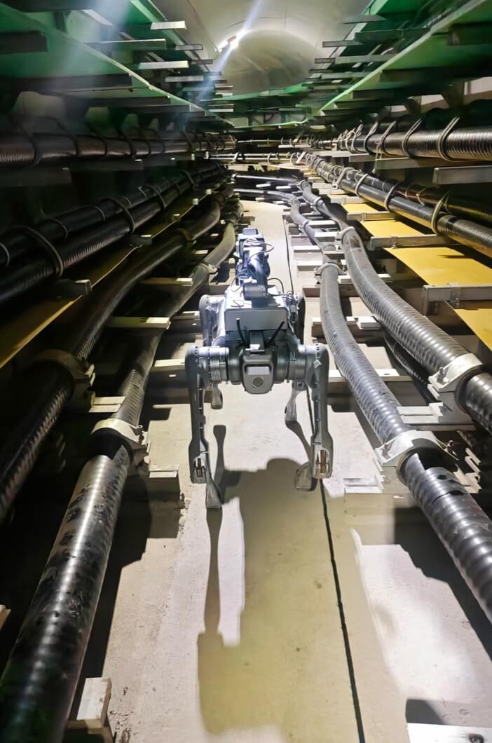 5c6c3e0077bd4c4580d5e64a2c8a2e8f_702x1060[1]