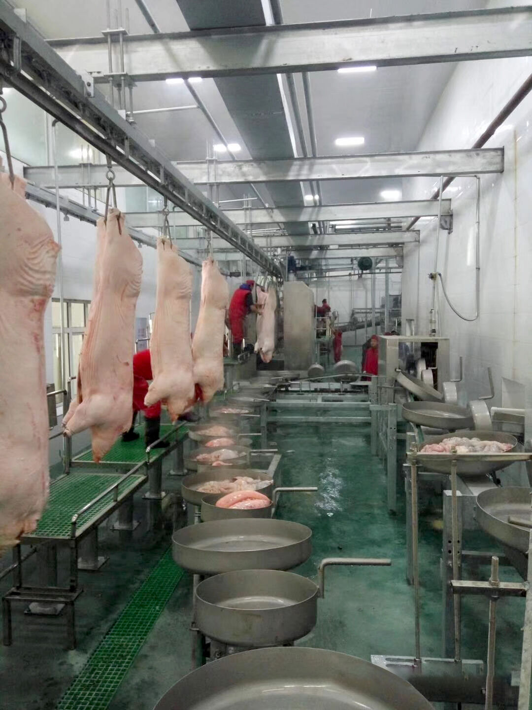 生猪屠宰分割流水线