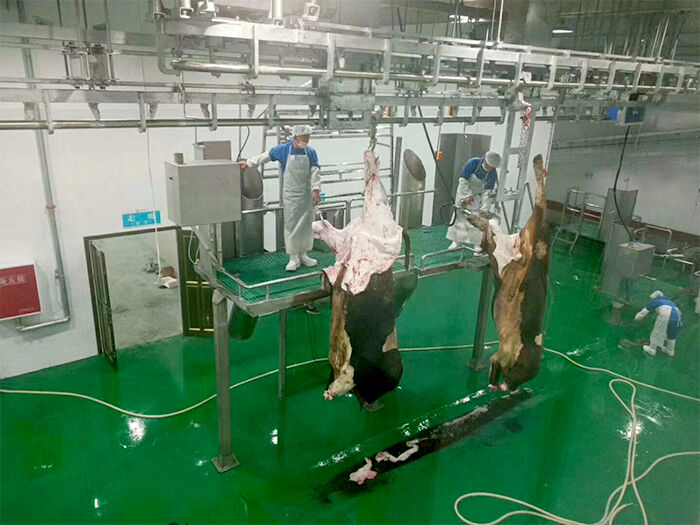 牛羊屠宰分割流水线