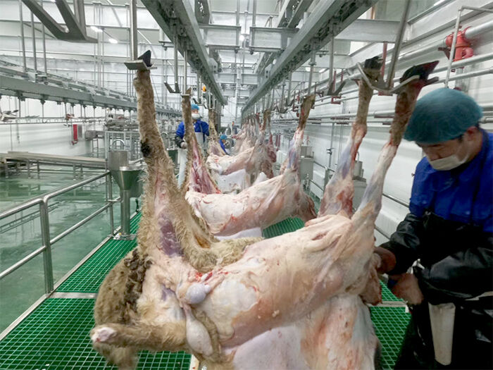 牛羊屠宰分割流水线