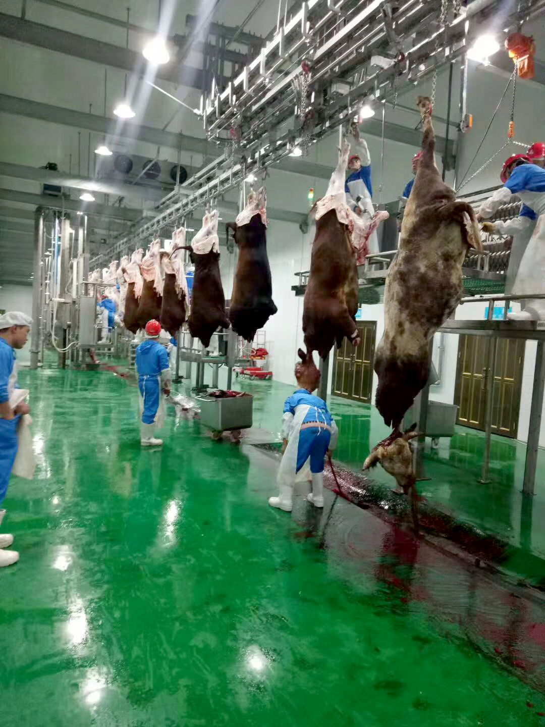 牛羊屠宰分割流水线