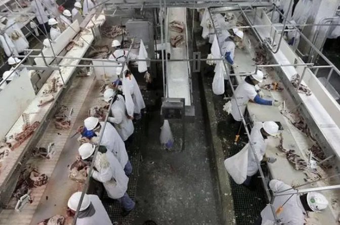 肉制品发展趋势分析2022版-博美达智能智造