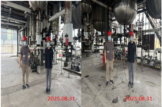 7d216939006e22192329c86dc035431