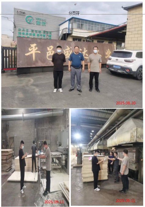 3607d4b3150054d23c799704d10c981