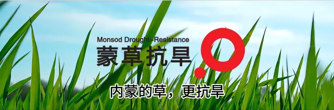 闭门造车丨差强人意的先行30年方法论-第六章（一）