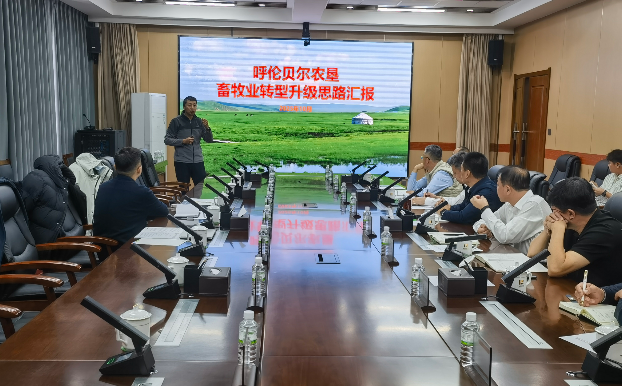 先行陪伴和牛不吃草赴呼伦贝尔农垦共探草原畜牧业转型升级