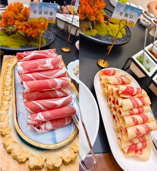 1761617015841616522837999616.png 1761617015841616522837999616.png