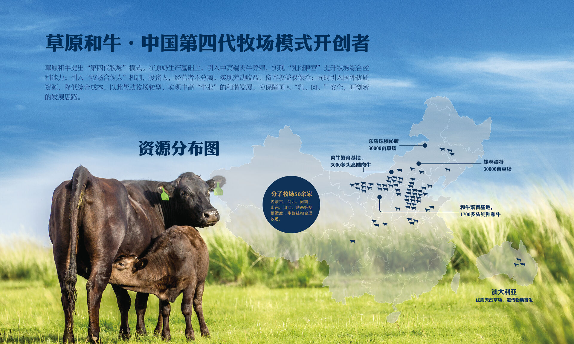 用普通牛肉的价格，吃雪花牛肉的品质