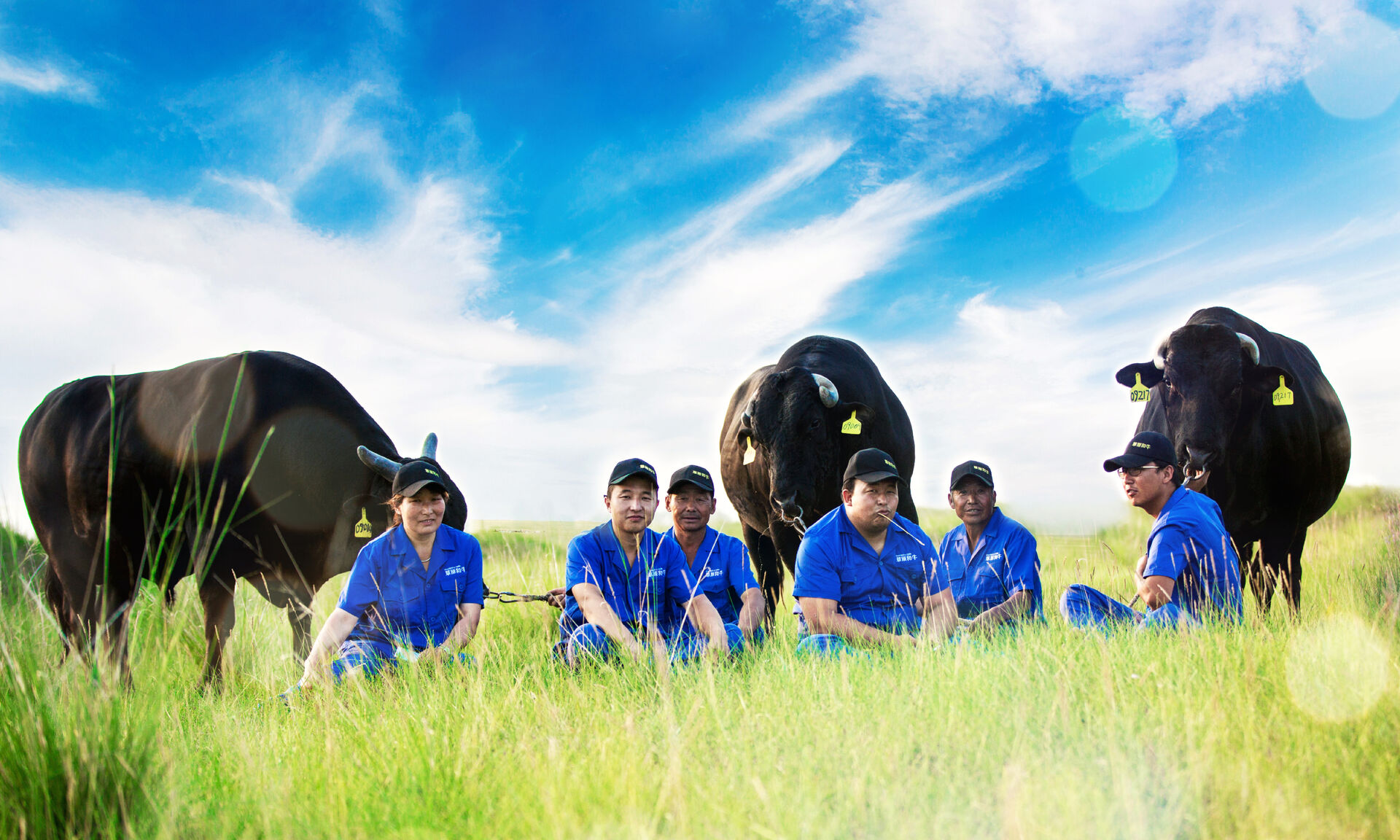 用普通牛肉的价格，吃雪花牛肉的品质