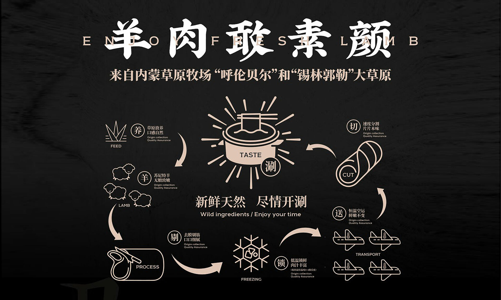 陪伴20年的那只“小羊”