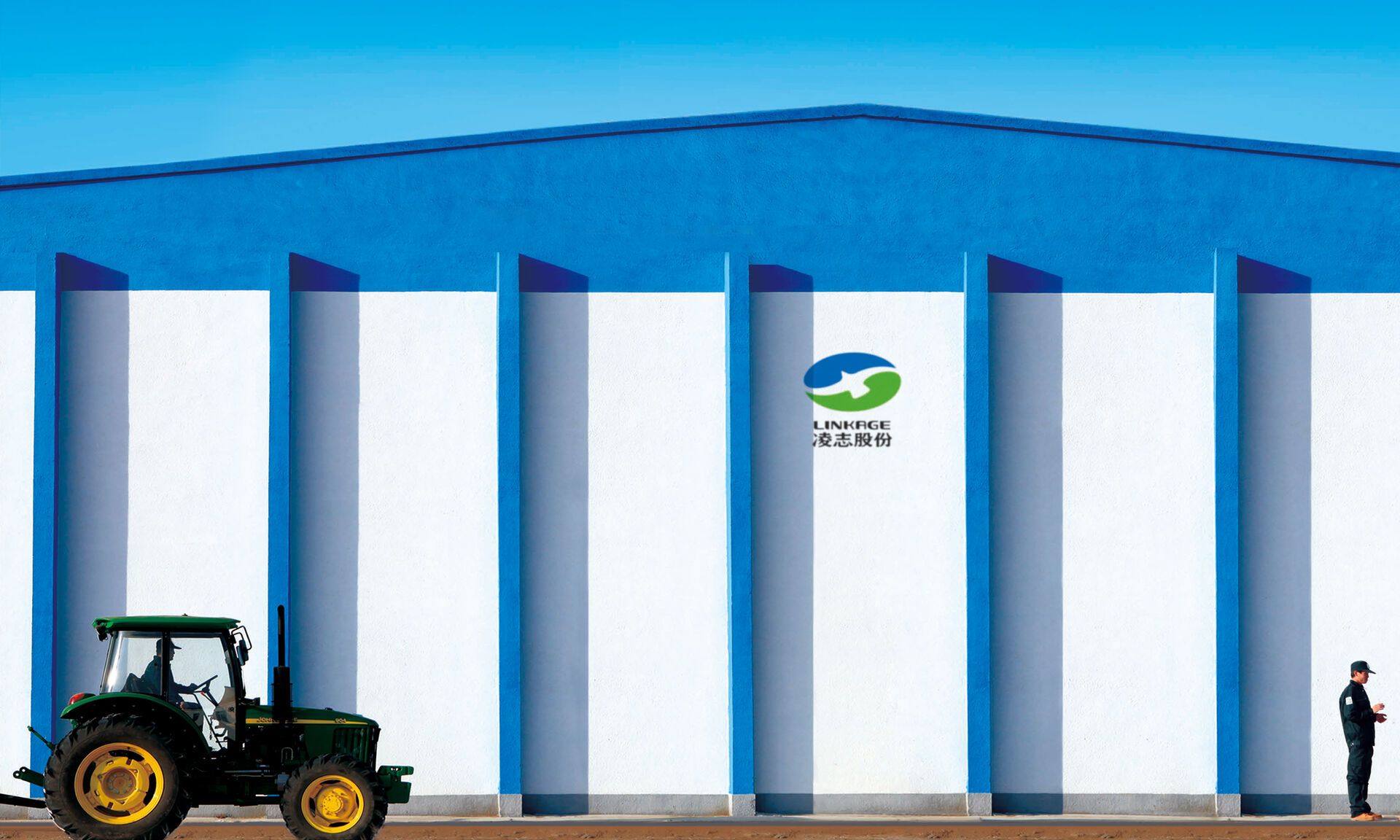 无毒种薯｜中国薯业第一股