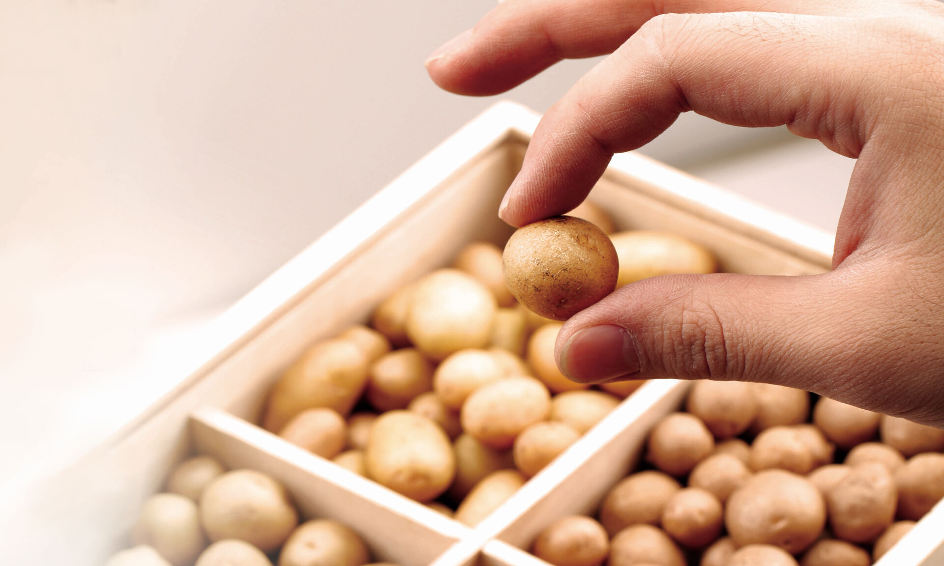 无毒种薯｜中国薯业第一股