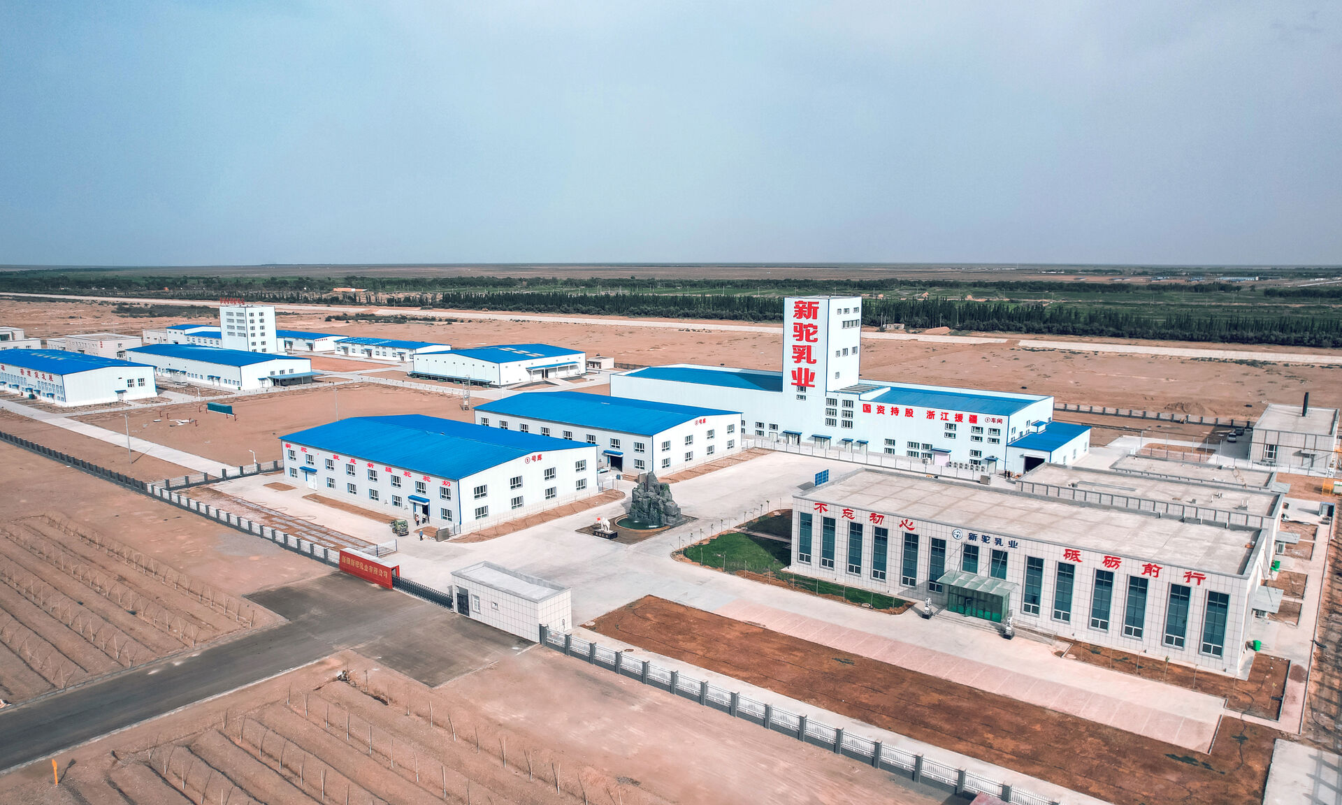 新驼，就是新疆骆驼奶