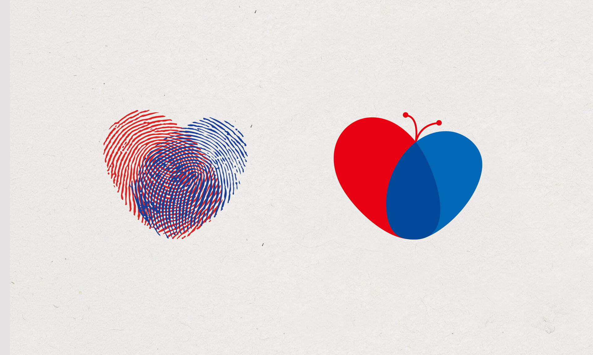 养生还是小的好