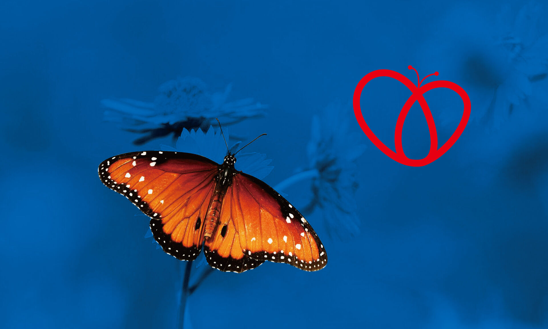 养生还是小的好