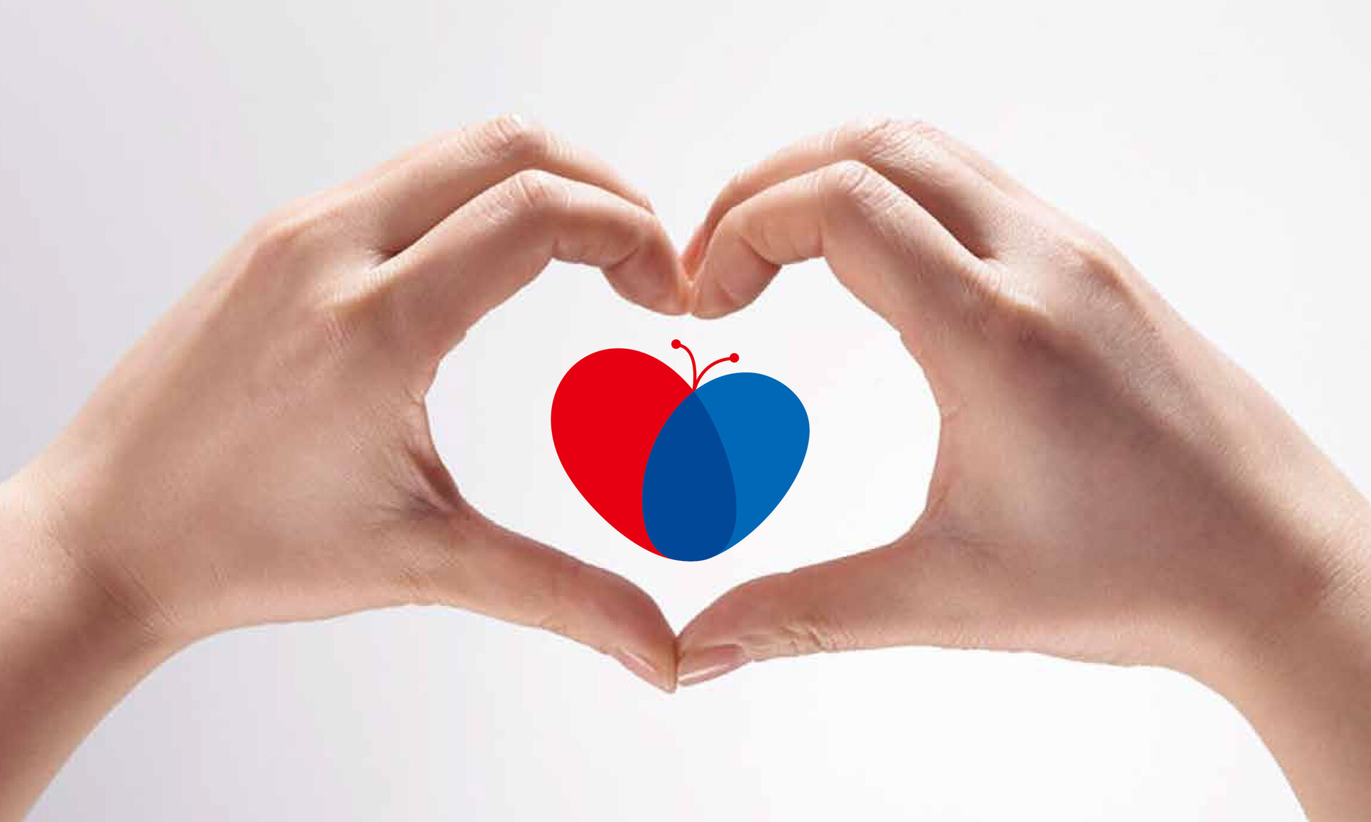 养生还是小的好