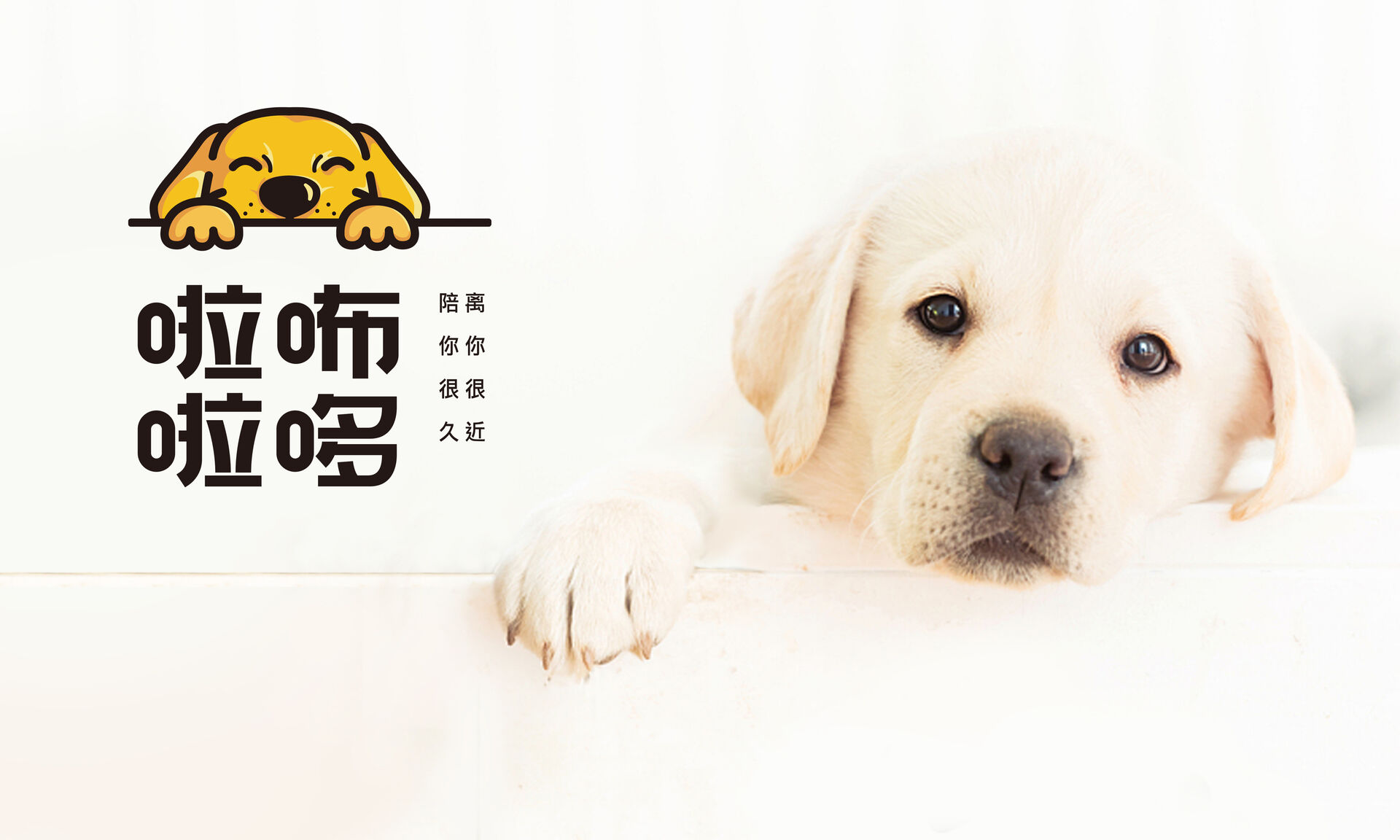 离你很近·陪你很久