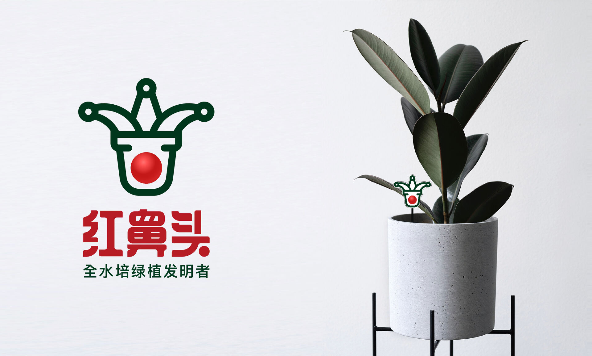 红鼻头的绿色陪伴