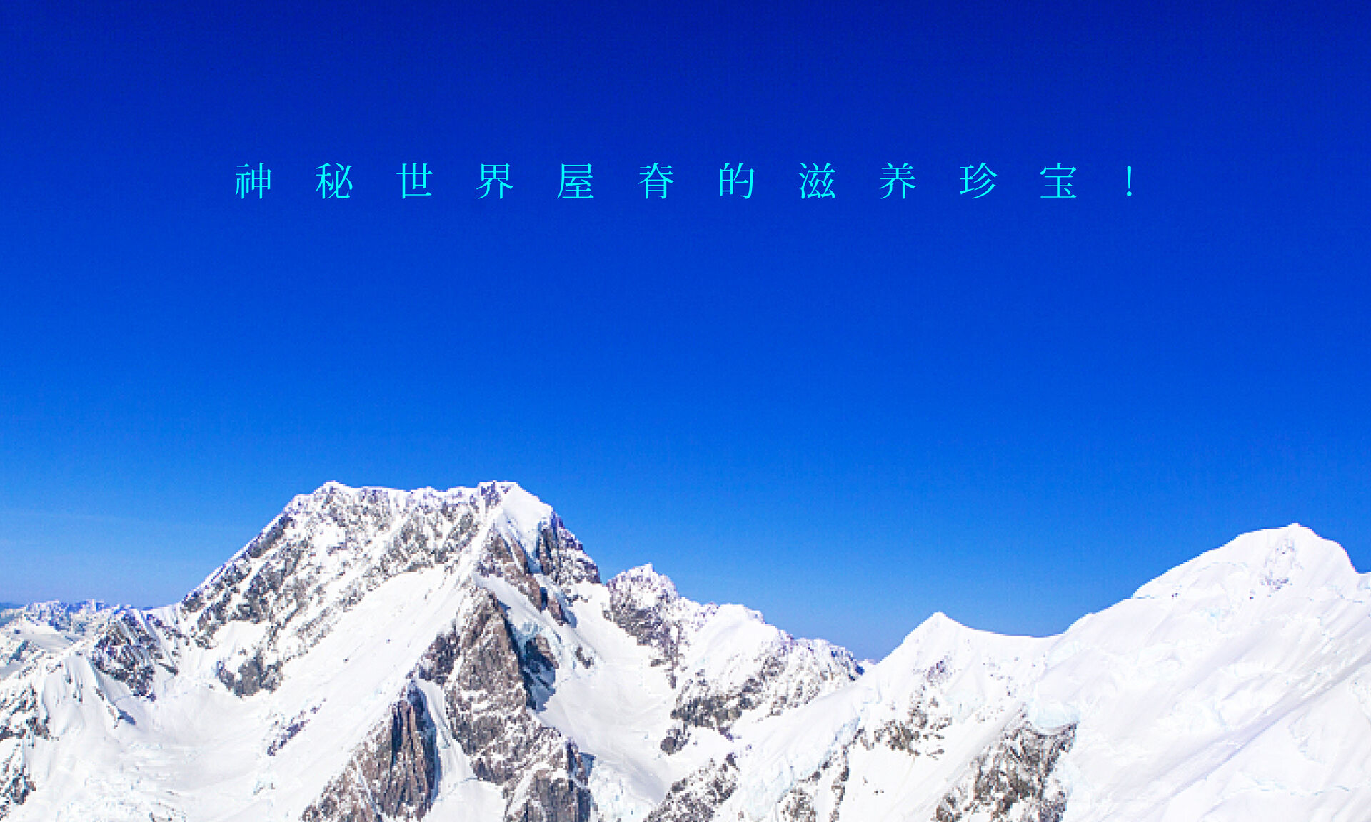 源自雪域高原的味道