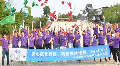 Feeltek，龙凤谷内的一道惊雷！