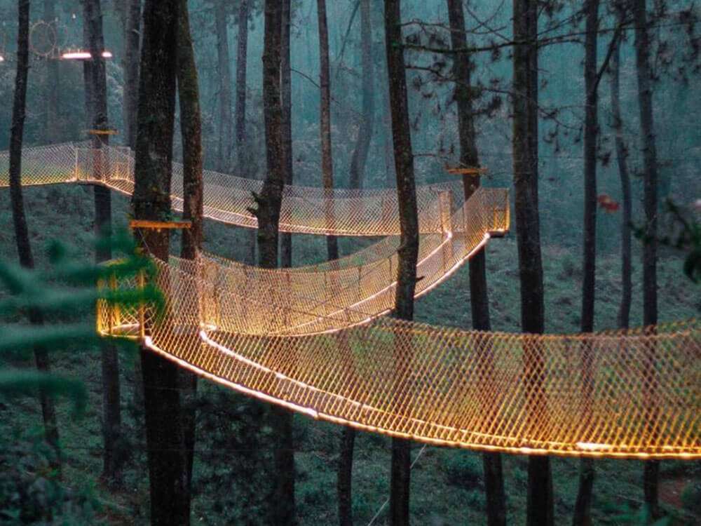 Jungle Walking   (1).JPG