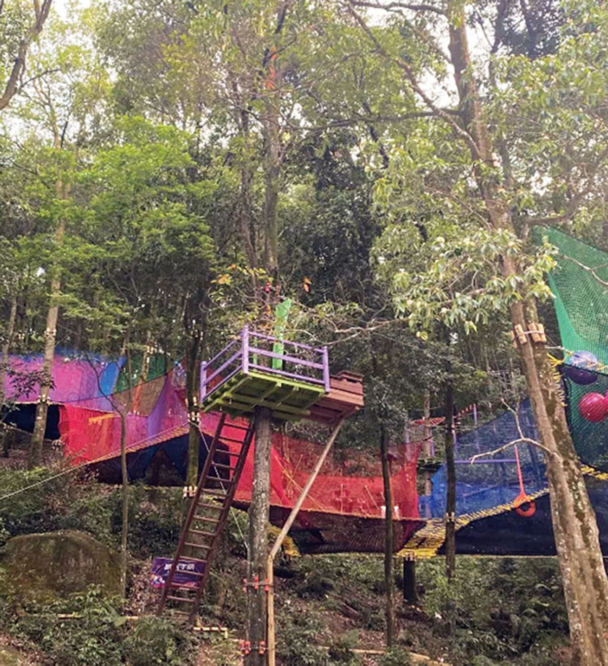 树上蹦床 树上蹦床