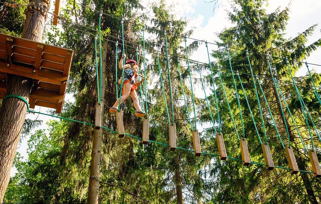 丛林穿越 (4).jpg 丛林穿越 (4).jpg