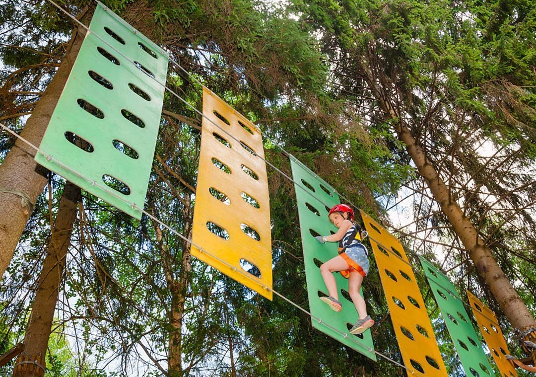 丛林穿越 (5).jpg 丛林穿越 (5).jpg