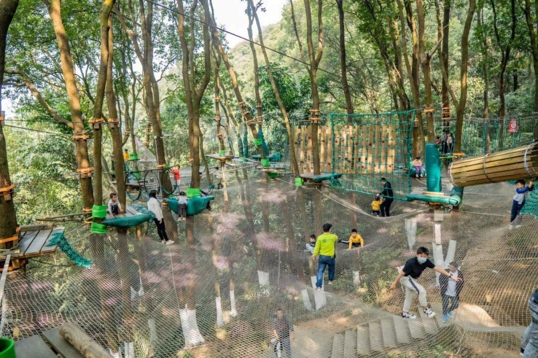 丛林拓展 (1).jpg 丛林拓展 (1).jpg